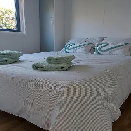 Sea Birds Goedereede