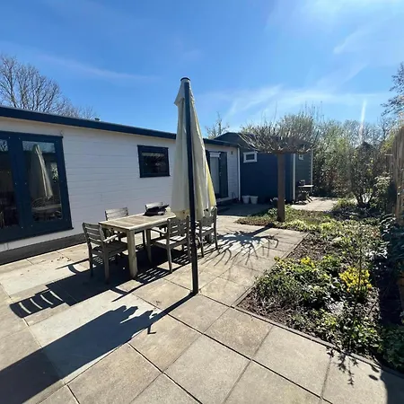 Sea Birds Goedereede