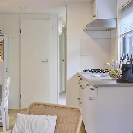 Sea Birds Goedereede