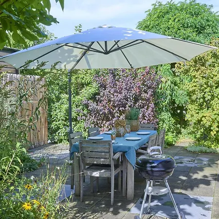 Sea Birds * Goedereede