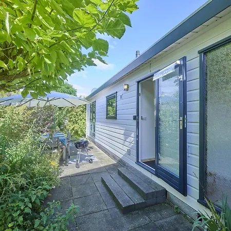 Sea Birds Goedereede