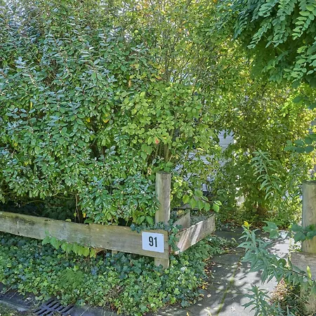 شاليه Sea Birds *