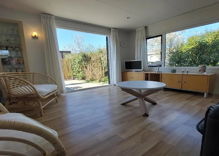 Sea Birds Goedereede