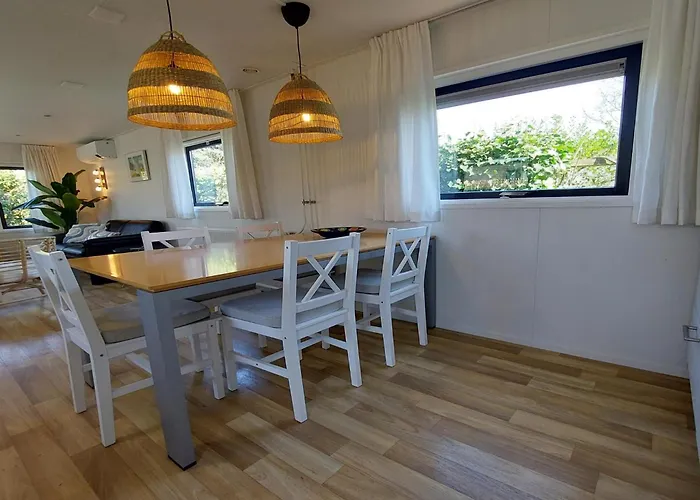 Sea Birds * Goedereede