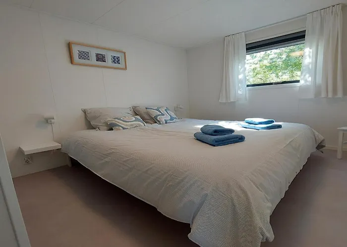 Sea Birds Goedereede