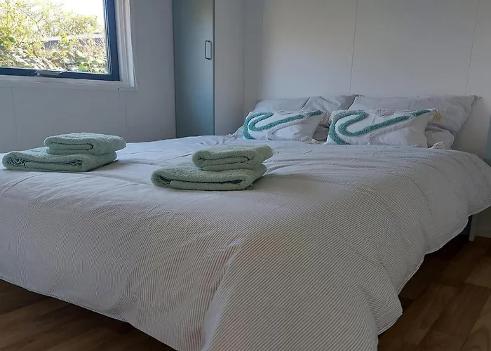 Sea Birds Goedereede