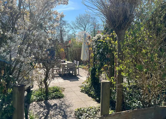 Sea Birds * Goedereede