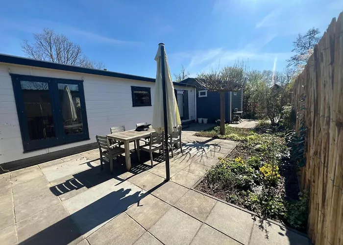 Sea Birds Goedereede