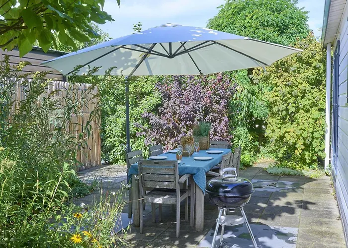 Sea Birds * Goedereede