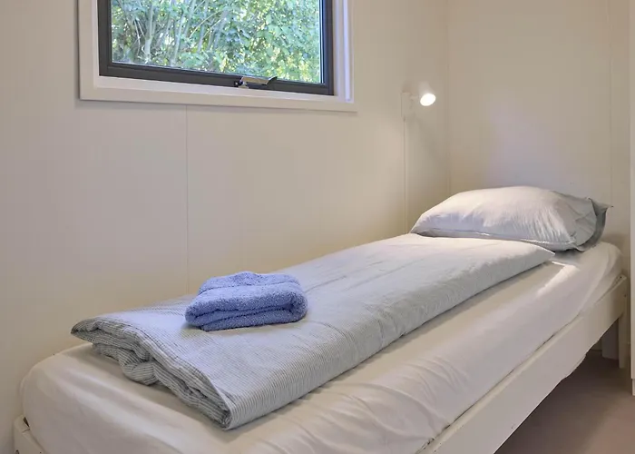 Sea Birds Goedereede