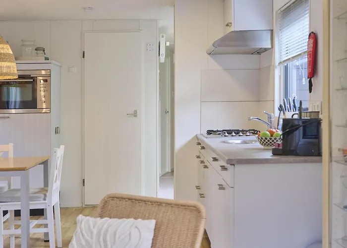 Sea Birds * Goedereede