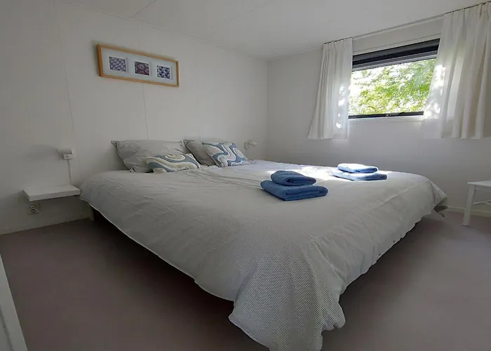 Sea Birds * Goedereede