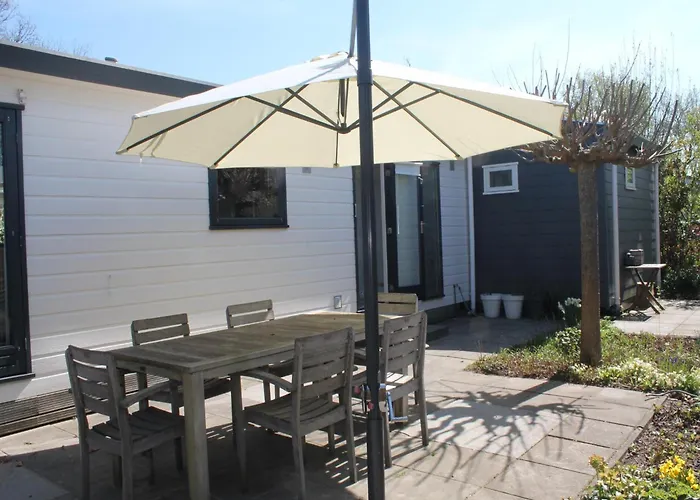 Sea Birds * Goedereede