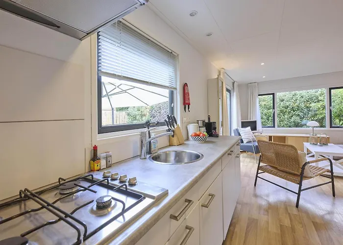 Sea Birds Goedereede