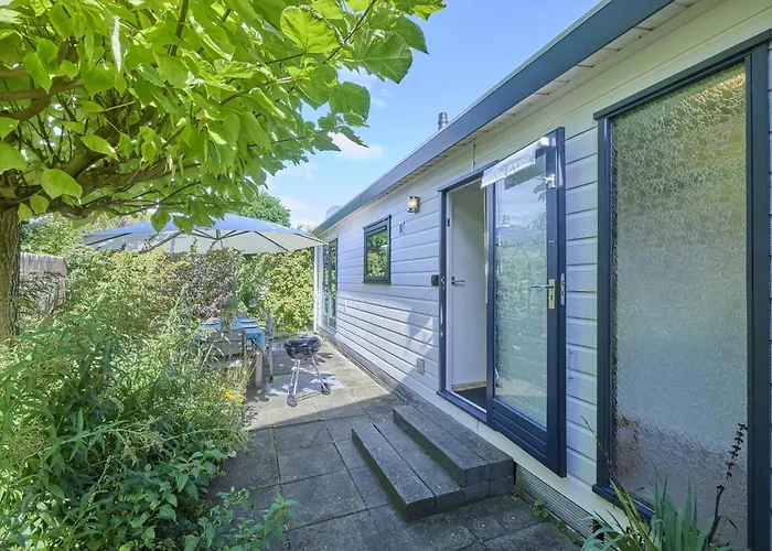 Sea Birds Goedereede